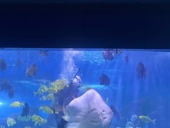 -重庆欢乐海底世界