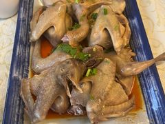 -百利鸽王(紫薇路店)