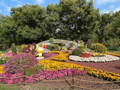 -上海共青森林公园