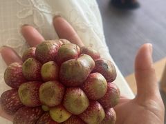 -曼阁市场水果批发市场