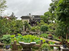 -苏州冶园园林民宿(太湖西山风景区店)
