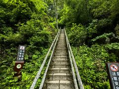 -茅兰沟国家森林公园