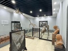 -游龙石文化科普馆