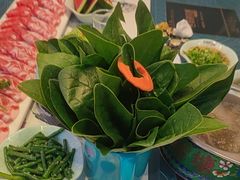 -名都晓荷塘(涿州店)