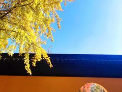-西园戒幢律寺