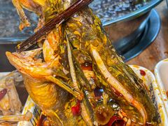 -青山青豆花·笑禅豆腐鱼(黄泥塝店)