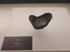 -辽宁省博物馆