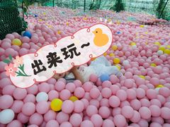 -北戴河集发农业梦想王国