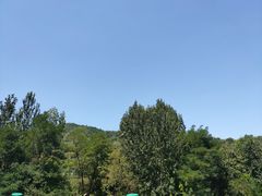 -陕西省红河谷森林公园