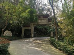 -南山植物园