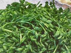 活体有机豆苗-捞神煲汤火锅(湖滨商业街店)