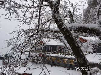 一次说走就走的旅行……在山上的名宿 老板说山上雪应该