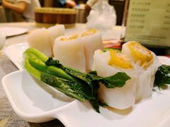 -佛山顺德香云纱园林酒店(清晖园店)
