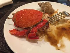 -深圳四季酒店·馥自助餐厅