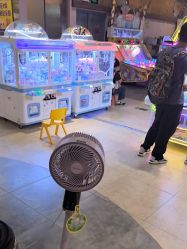 -卡通尼·Safari非洲探索乐园·生日会(金桥国际商业广场店)