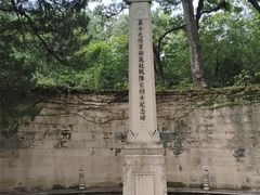 -灵谷景区