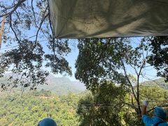 -清迈丛林飞跃 JungleFlight