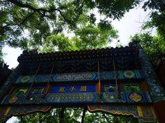 -北京国子监胡同