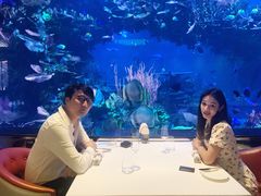 -迪拜帆船酒店海底餐厅