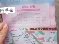 -高东镇樱花园