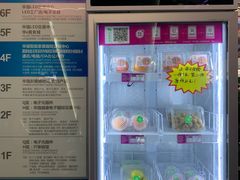 -华强电子世界(深圳二店)