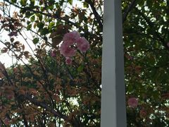 -白塘生态植物园