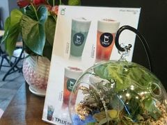 android_upload_pic-TPLUS茶家(上海商城南京西路店)