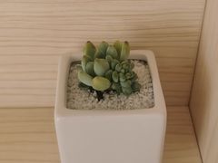 -蜜蜂读书·24h自习室(角门西店)