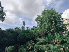 -晓港公园