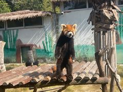 -泉州海丝野生动物世界