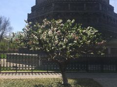 -玲珑塔公园