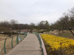 -潇河湿地公园
