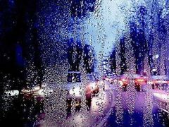 -温州王朝大酒店-自助餐厅