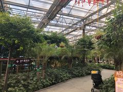 -南宫五洲植物乐园