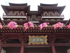 -新加坡佛牙寺龙华院