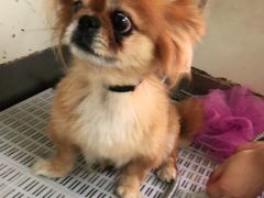 -宠颐生动物医院·小陆分院