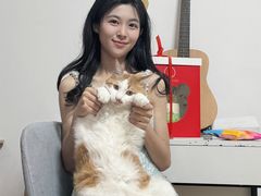 -CAKE BOSS 蛋糕老板(西单君太百货店)