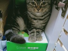-全心全意连锁动物医院·微创中心·内科急重症·心脏专科(丰管路店)