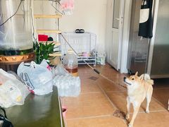 -彤彤家烘焙·蛋糕·甜品台·茶歇(远洋国际中心店)