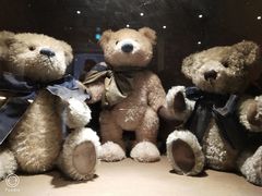 -济州岛泰迪熊博物馆