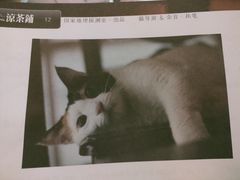 -百川·追风楼沉浸式剧本杀