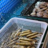 谁懂啊！在上海吃到了这么好吃的潮汕菜