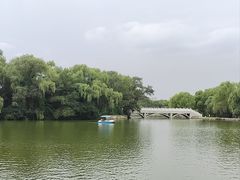 -北陵公园