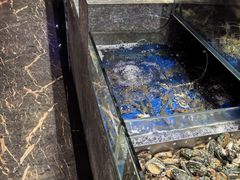 -喜庭海鲜自助(佛山王府井店)