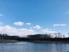 -大兴滨河森林公园