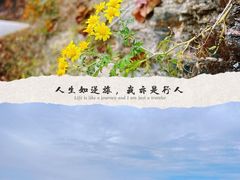 -府君山公园