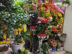 -三旗百汇商品城