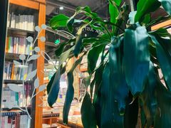 -西西弗书店&矢量咖啡(静安大悦城店)
