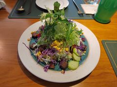 牛肉沙拉-LUCCA卢卡西班牙海鲜饭(远洋广场店)