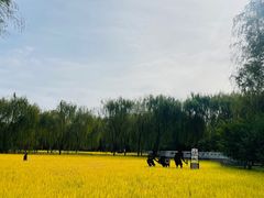 -北坞公园